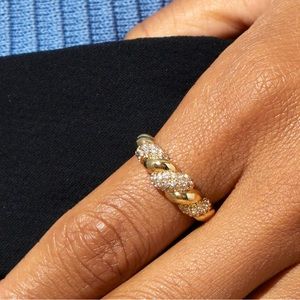 🎄Ana Luisa Rope Pave Ring🎄